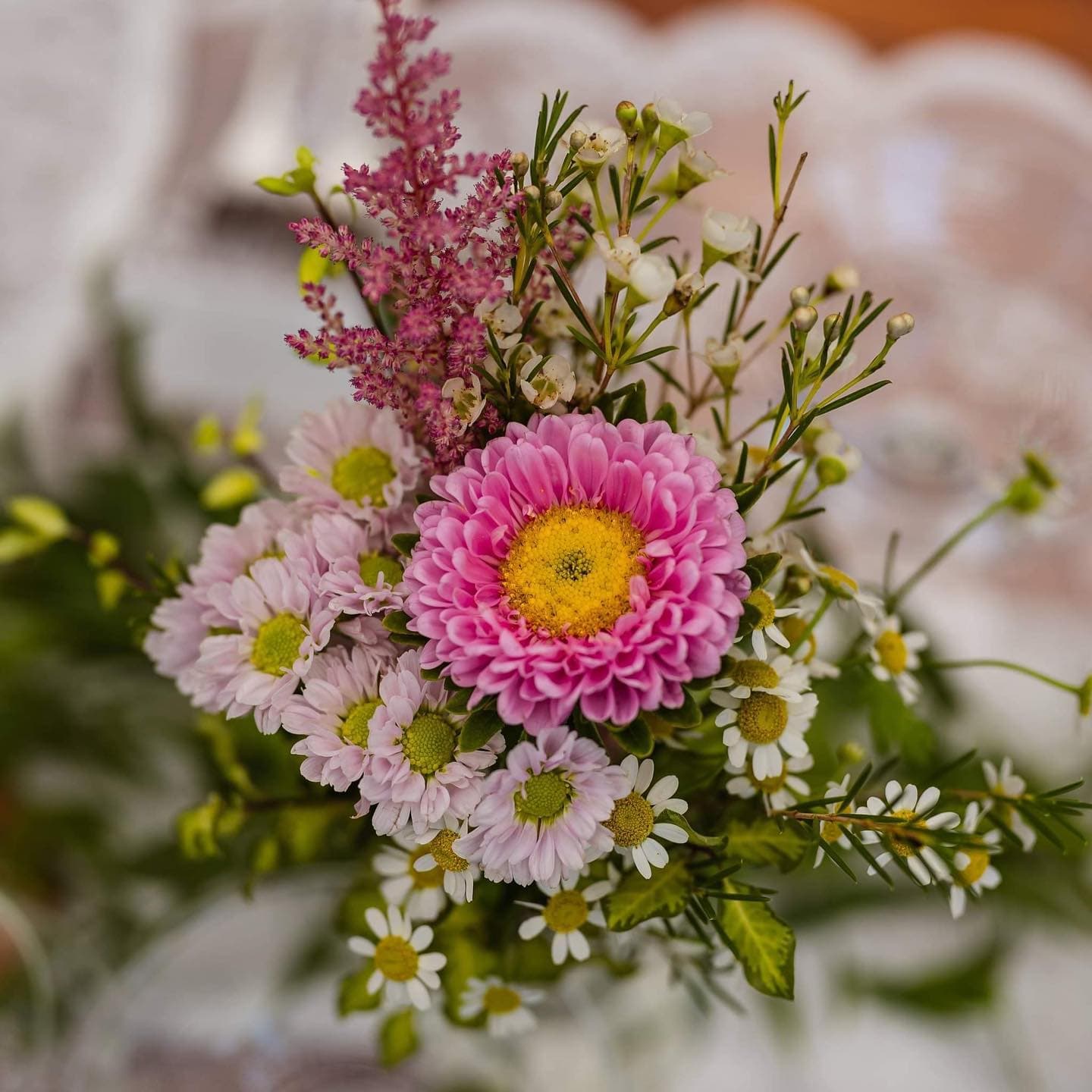 kvetinarstvi-santina_6